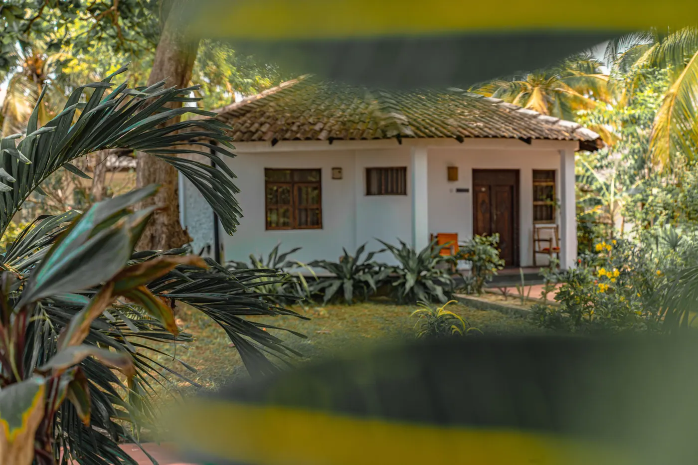 Thatched bungalow seen through tropical leaves, Tiki Beach